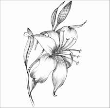 In this quick tutorial youll learn how to draw a lily flower in just a few quick steps but first lilies are large flowers that have been popular in gardens for years. Tiger Lily Flower Drawing Drawing Tutorial Easy