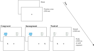 Health anxiety emerged as a general theme across reddit through . Health Anxiety And Attentional Bias Toward Virus Related Stimuli During The Covid 19 Pandemic Scientific Reports