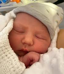 Meet Dorset's cute new arrivals