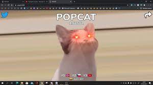 Click here for details ~ credit account example: Popcat Click Stream Pop Cat Know Your Meme