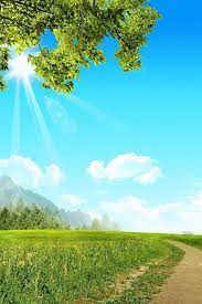 Nature Wallpapers Hd Mobile 22 Wallpapers Hd Wallpapers Android Wallpaper Hd Nature Hd Nature Wallpapers Best Wallpapers Android