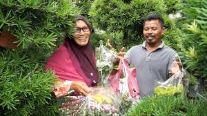 De juiste tijd in kampung sungai buloh. Nursery Plant Sungai Buloh Banyak Pokok Bunga Cantik Dan Murah