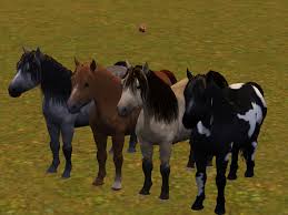 Home · clothes · hair · shoes · furniture · decor · houses · accessories · make up · eyes · mods · build · sims · websites. Mod The Sims Miniature Horses 4 Of Them