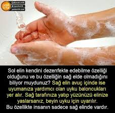 Sag Elin Uykuyu Getiren Sol Elin Kendini Dezenfekte Etme Ozelligi Biliyor Muydunuz Bilgi Alintilari Bilgi