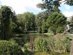 In 2018, bgci updated the criteria that define. Ghent University Botanic Garden