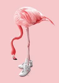 I drew this flamingo a while back for national flamingo day on ibis paint x using my finger. Sneaker Flamingo Poster