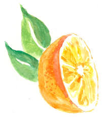 Deja un comentario cancelar la respuesta. Naranja Arte De Acuarela Naranja Dibujo Acuarela