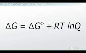 In general, halving of the standard state concentration will not lead to an rt ln 2 term as a(c/2) is not equal to a(c)/2. The Relationship Between Free Energy And The Equilibrium Constant Video Lesson Transcript Study Com