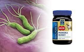 Helicobacter pylori este o bacterie spiralată, mobilă, aparţinând ordinului campylobacterales, familia helicobacteraceae6, descoperită iniţial în 1875, cu în contextul prevalenţei crescute a infecţiei cu helicobacter pylori, bacterie cu care medicii internişti şi gastroenterologi se confruntă în practica. Pin On Plante