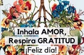 Breathing in the Time of Corona - Resilience