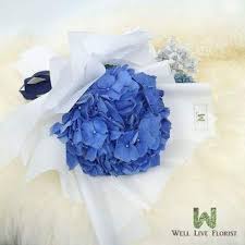 Flowers across singapore offers to buy flowers online at the best price with flower delivery throughout singapore. Dariela Hydrangea Bouquet Fresh Cut Hydrangea Hand Bouquet Anniversary Flower Birthday Flower Mother S Day Flower Graduation Flower Valentine S Day Flower Father S Day Flower Flower Delivery Florist Singapore Free Delivery