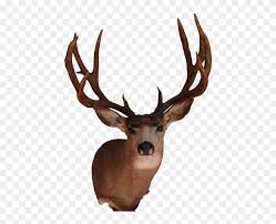 Deer Head Mounts Png Free Deer Head Mounts Png Transparent Images 90275 Pngio How to create text with transparent background in photoshop. deer head mounts png transparent