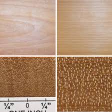 Image result for Pouteria altissima