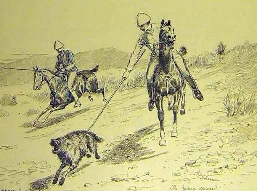 File:Speared hyena.JPG - Wikipedia