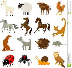 Farm And Domestic Animals Stock Vector Illustration Of