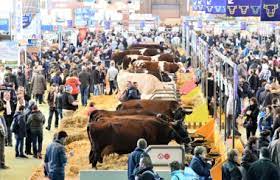 We did not find results for: The Salon International De L Agriculture Porte De Versailles Paris Paris Tourist Office