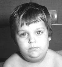 PFZ624 Milst.cover&spine&back2