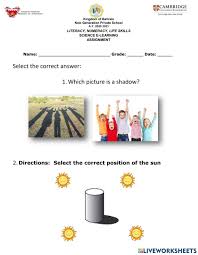 All the students of fiji should download all the previous. Science Shadows Worksheet