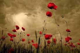 Check spelling or type a new query. Brave Flowers In The Storm By Dawnsten Redbubble