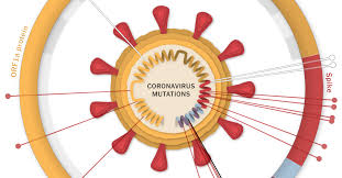 It was first identified in december 2019 in wuhan,. Coronavirus Variants Latest News And Updates The New York Times