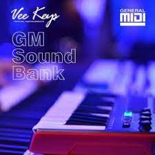 Easily make payments online through myaccount, by mail or over the phone. Veekeysvi Gm Soundfont Bank By Vee Keys Vi