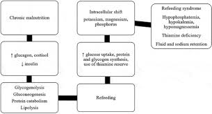 Image result for Refeeding Syndrome