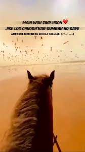 Janam Fida E Haideri Yaa Ali An Immersive Guide By Aliunwaliullah