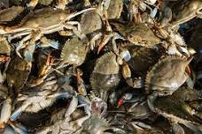 Seafood & Shoreline Weekend