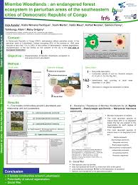 Image result for Baphia bequaertii