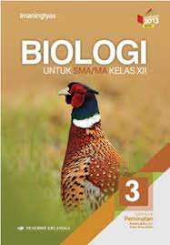 We did not find results for: Soal Uji Kompetensi Materi Sistem Ekskresi Buku Erlangga K 13 Untuk Kelas Xi Dan Pembahasannya Blog Pak Pandani