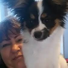 Accu-Temp, Inc., 653 Darius Pearce Rd, Youngsville, NC 27596, US