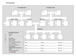 30 Free Genogram Templates Symbols Template Lab