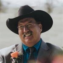 Mr. Darcy Frank Roy Obituary