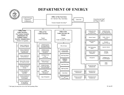 Common Organizational Structures Boundless Management