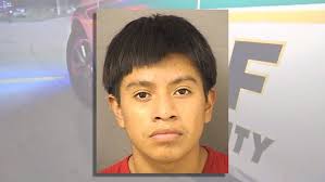 Boy, 14, charged with killing man at birthday party