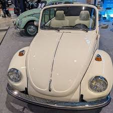 Image result for Ivory 1950 Beetle