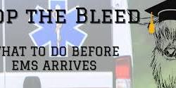 Stop the Bleed