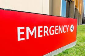The prince chunk emergency veterinary care assistance program provides free emergency vet care to pet owners that are struggling financially. Should You Wait Or Should You Go