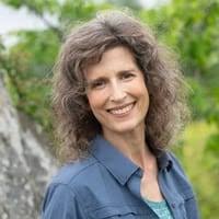 Fogbound in December