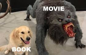 But of course he is lying! Harry Did You Put Your Name In The Hogwarts Is Our Home Facebook