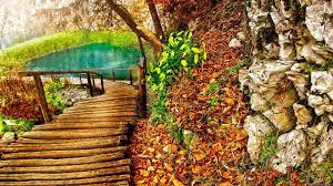 Check out this fantastic collection of 1080p hd desktop wallpapers, with 34 1080p hd desktop background images for your desktop, phone or tablet. Download Hd Nature Wallpapers For Pc 1080p Free Download Gallery