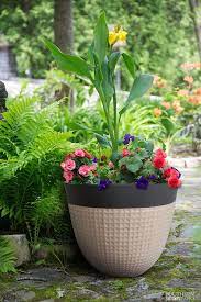 Pin On Planter Inspiration