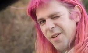 American idol audition outtakes star. Ariel Pink Entering Politics Promises More Walls And Cowbells