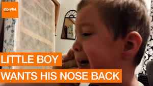 Little Boy Wants His Nose Back