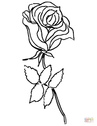 Disegni Di Rose Da Colorare Pagine Da Colorare Stampabili