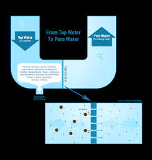 How Reverse Osmosis Works Esp Water Products