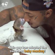 Its recommended that a monkey has a bath once a week. Go Animals Man Adopts Adorable Baby Monkey Facebook