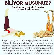 Feryal Baskoylu Adli Kullanicinin Saglik Olsun Panosundaki Pin Vucut Gelistirme Squat Saglik Ipuclari