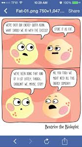 I Blame My Cells Science Biology Funny Biology Humor Biology Jokes Science Humor