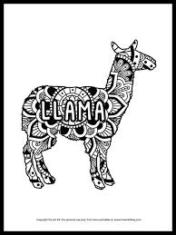 It has distinctive coloring, with a brown back, a white underbelly, and a grey face. Llama Mandala Coloring Page Free Printable The Art Kit